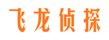 临河侦探